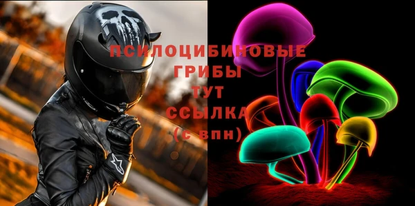 гидра Алексин