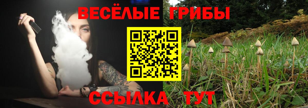 Нижнеудинск  Псилоцибиновые грибы мицелий  Вход с VPN 